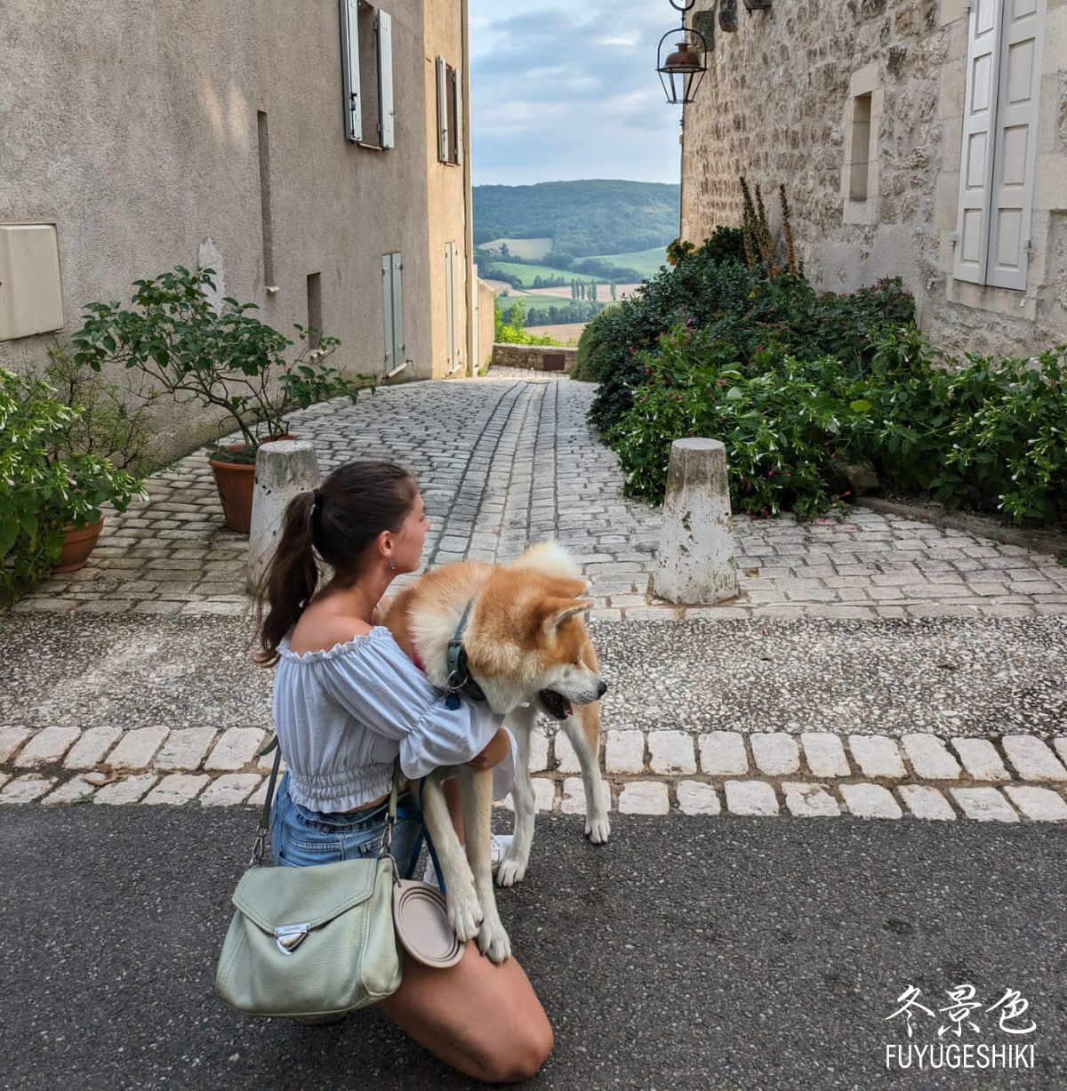 Formations Educateur Canin Cynologiste