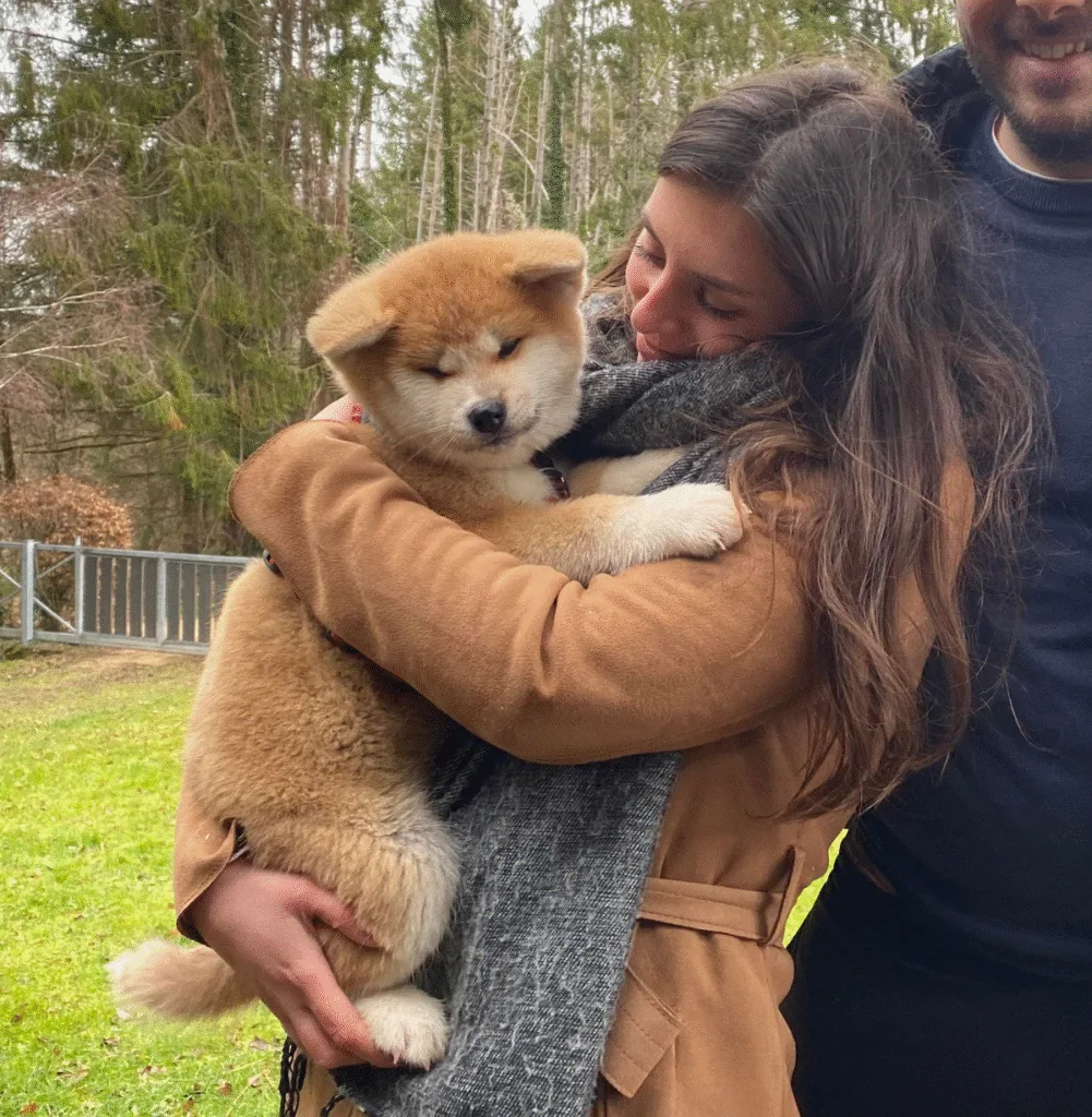 prix d'un chiot LOF