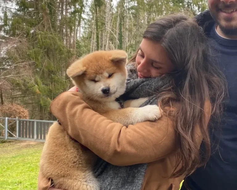 Le prix d’un chiot LOF