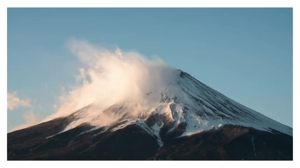 glossaire japonais akita inu
